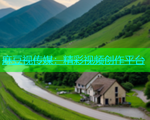 麻豆视传媒：精彩视频创作平台