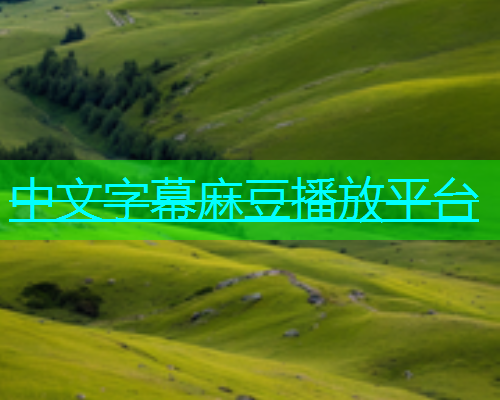 中文字幕麻豆播放平台
