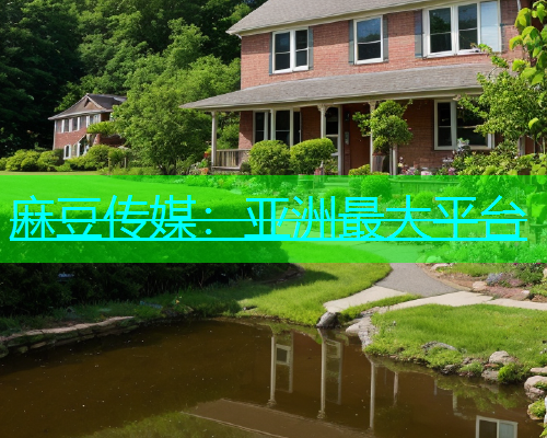 麻豆传媒：亚洲最大平台