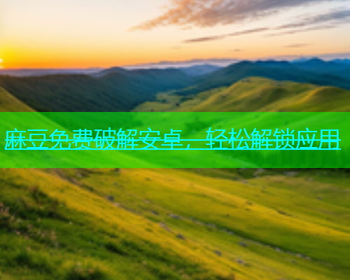 麻豆免费破解安卓，轻松解锁应用