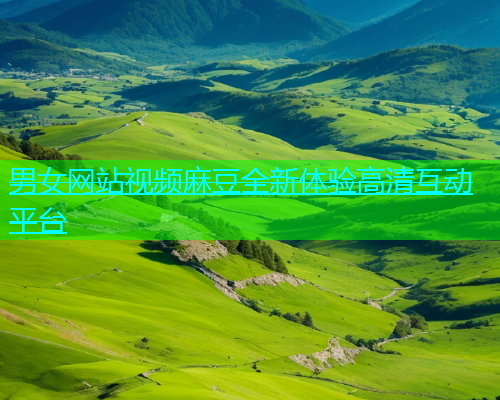 男女网站视频麻豆全新体验高清互动平台