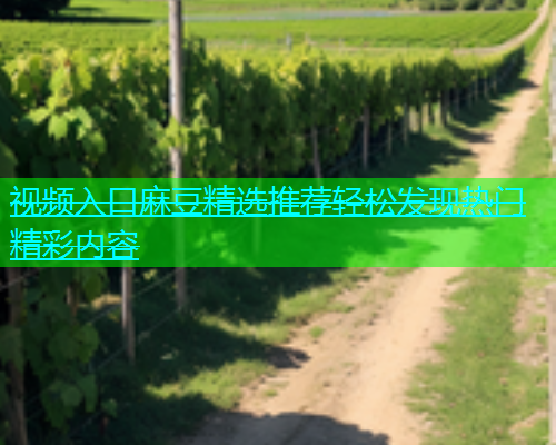 视频入口麻豆精选推荐轻松发现热门精彩内容