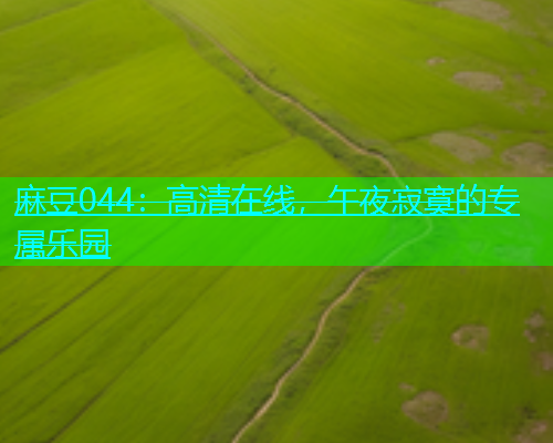 麻豆044：高清在线，午夜寂寞的专属乐园