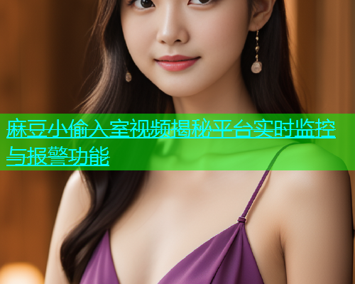 麻豆小偷入室视频揭秘平台实时监控与报警功能