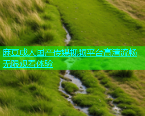 麻豆成人国产传媒视频平台高清流畅无限观看体验